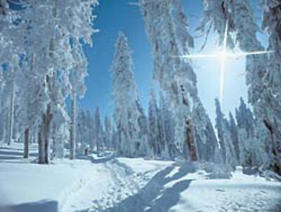 Weihnachten und Silvester im Bayerischen Wald